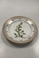 Royal 
Copenhagen 
Flora Danica 
Salad Plate No 
20/3573
Latin name: 
Artemisia 
norvegiea ...