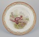 Royal 
Copenhagen 
Fauna Danica, 
dinner plate 
featuring a 
motif of a pine 
marten. Gold 
...