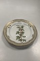 Royal 
Copenhagen 
Flora Danica 
Luncheon Plate 
No 20 / 3554 
with Pierced 
Border. Latin 
Name:  ...