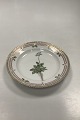 Royal 
Copenhagen 
Flora Danica 
Salad Plate No 
20/3573
Latin name: 
Saxifraga 
stellaris ...
