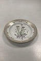Royal 
Copenhagen 
Flora Danica 
Salad Plate No 
20/3573
Latin name: 
Erigeron 
erioccphalus J. 
...