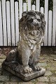 Large, decorative old lion in sandstone with fine patina 
from wind & weather. H: 66cm...