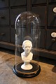 Decorative, old 
cylinder-shaped 
French glass 
Dome / Globe on 
a black wooden 
base for 
exhibition. ...