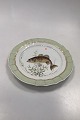 Royal 
Copenhagen 
Green Dinner 
Fish Plate No 
919/1710 with 
Micropterus 
salmonides
Måler 25 cm (9 
...