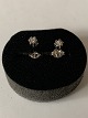Nice little 
studs in 14 
carat gold, 
with inlaid 
brilliant. The 
ear studs are 
small and 
discreet, ...