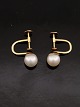 14 carat gold 
earrings with a 
genuine pearl 
D. 0.9 cm. 
weight 4.5 
grams item no. 
588656
