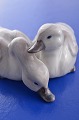 Royal 
Copenhagen 
porcelain 
figurine, pair 
of cygnets nr. 
363. Height 4.5 
cm. length 9 X 
10 cm. ...