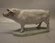 Royal 
Copenhagen  
4558 RC Boar on 
base 15 x 32.5 
cm Helen Schou  
In mint and 
nice condition 
Pig, ...