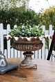 Old French cast iron pot with wavy edge and a nice old patina...