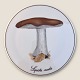 Bing & Grondahl
Mushroom plate
Lepista nuda
#3518/ 949
*150 DKK