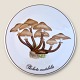 Bing & Grondahl
Mushroom plate
Pholiota mutabilis
#3517/ 949
*150 DKK