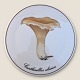 Bing & Grondahl
Mushroom plate
Chanterelle
#3513/ 949
*150 DKK