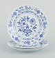 item no:
604891 item no:
604891