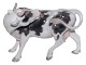 Large Bing & 
Grondahl 
figurine, cow 
licking its 
side.
The factory 
mark tells, 
that this was 
...