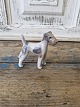 Royal 
Copenhagen 
Figurine - 
Terrier no. 
3170