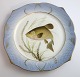 Royal 
Copenhagen. 
Fish set No.19. 
Model 3002. 
Diameter 22.5 
cm. Cyprinus 
tinca. Produced 
before ...