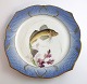 Royal 
Copenhagen. 
Fish set No.19. 
Model 3002. 
Diameter 22.5 
cm. Trigla 
gurnardus. 
Produced ...