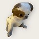 Royal 
Copenhagen, 
Pekingese puppy 
with defect on 
the eye (see 
photo) 
otherwise good 
condition, ...