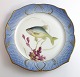 Royal 
Copenhagen. 
Fish set No.19. 
Model 3002. 
Diameter 22.5 
cm. Leuciscus 
cærulens. 
Produced ...