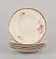 latest
new item latest
new item