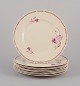 Arabia, 
Finland.
A set of nine 
‘Myrna’ lunch 
plates in 
faience.
Floral motif 
in autumn ...