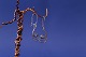 These gold 
earrings in 14 
carat gold, 
with inlaid 
moonstone are 
high class, and 
are elegant for 
...