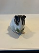 B&G figurine of 
Guinea pig No 
2499nice and 
great condition