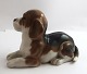 Königliches Kopenhagen. Porzellanfigur. Liegender Beagle. Modell 565 (2565). 
Länge 16 cm. ( 1 Wahl)