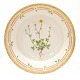 Flora Danica 
deep plate 
3545. 
Potentilla 
niveau L.". H: 
...