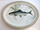 Royal 
Copenhagen. 
Fauna Danica, 
fish. Oval 
serving 
platter. Model 
# 19 - 3520. 
Length 47 cm. 
...