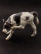 Royal 
Copenhagen calf 
432 item no. 
618052