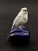 Royal 
Copenhagen 4682 
Budgie on 
pumpkin 14 cm 
design Jeanne 
Grut from Royal 
Copenhagen 1st 
grade ...