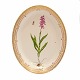 Royal 
Copenhagen 
Flora Danica 
large oval dish 
#3518
"Orchis  
Masculus L."
Year 1962
Size: 40x32cm