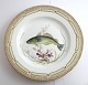 Royal Copenhagen. Fauna Danica. Fish Plate. Dinner plate. Model # 19 - 3549. 
Diameter 25 cm. (1 quality). Gadus merlangus