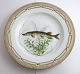 Royal 
Copenhagen. 
Fauna Danica. 
Fish Plate. 
Dinner ...