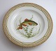 Royal 
Copenhagen. 
Fauna Danica. 
Fish Plate. 
Dinner plate. 
Model # 19 - 
3549. Diameter 
25 cm. (1 ...