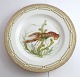 Royal 
Copenhagen. 
Fauna Danica. 
Fish Plate. 
Dinner plate. 
Model # 19 - 
3549. Diameter 
25 cm. (1 ...