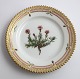 Royal 
Copenhagen, 
Flora Danica. 
Cake plate. 
Design # 3552. 
Diameter 14,5 
cm. (1 
quality). 
Silene ...