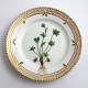 Royal 
Copenhagen, 
Flora Danica. 
Cake plate. 
Design # 3552. 
Diameter 14,5 
cm. (1 
quality). ...