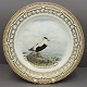 Royal Copenhagen, Flora Danica Animal; Dinnerplate 25,5 cm No. 3549