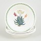 Portmeirion England, set of 4 deep plates.Set of 4 deep faience plates by Portmeirion, ...
