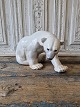 B&G figurine - large polar bear No. 1857, Factory firstHeight 21 cm. Length 37 cm.Design: ...