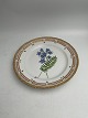 Royal Copenhagen Flora Danica Lunch Plate No. 20/3550  Measures 22 cm. (8.66 inch) 1. Quality. ...