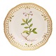 Royal Copenhagen Flora Danica dinner plate 3553"Pyrola umbellata L."D: 25,5cm