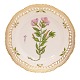 Royal Copenhagen Flora Danica dinner plate 3553"Epilobium latifolium L."D: 25,5cm
