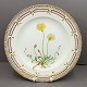 Royal Copenhagen, Flora Danica; Dinnerplate 25,5 cm. No 3549