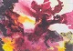 Gerhard Richter, colour print, well listed German artist.Abstract composition executed as a ...