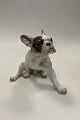 Bing and Grondahl Figurine French Bulldog No. 2000Measures 23cm x 19cm / 9.06 inch x 7.48 inch