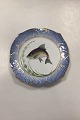 Royal Copenhagen Blue Fish Set Plate No. 19/3002