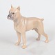 Bing & Grøndahl boxer figurine.Naturalistic boxer dog figurine in porcelain, model 2212, ...